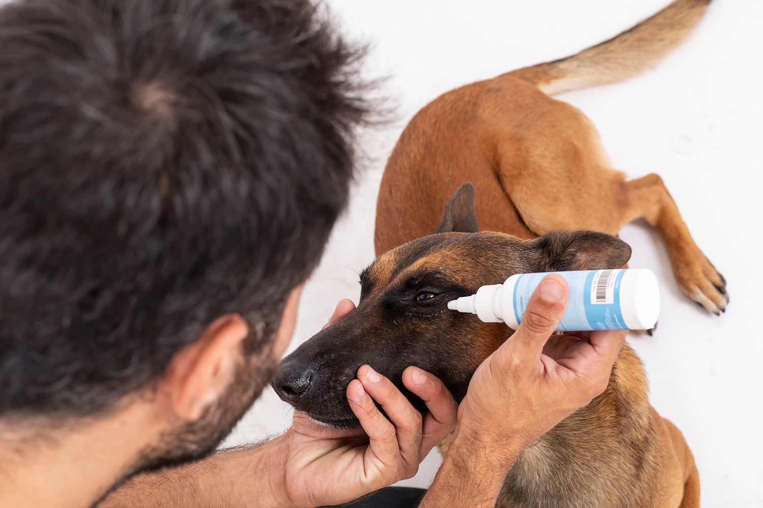 כתמי דמעות? מה, למה ואיך מטפלים?