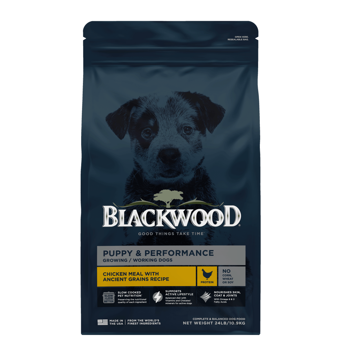 Blackwood מזון לגורים וכלבים פעילים עוף ודגנים עתיקים 10.9 ק״ג